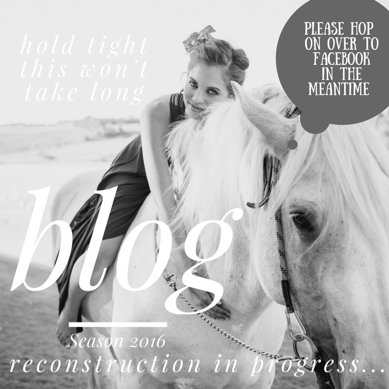 blog