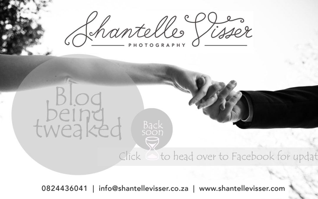 Blog update in progress